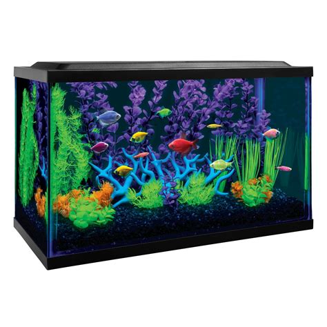 Glofish Glass Aquarium Kit 10 Gallon 20 L X 10 W X 12 H Petco