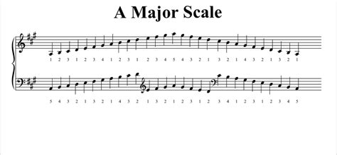 Every scale in major and minor is represented at the start of each staff by a key (or tonality) signature. Piano Scales Tutorial - Ruth Pheasant Piano Lessons