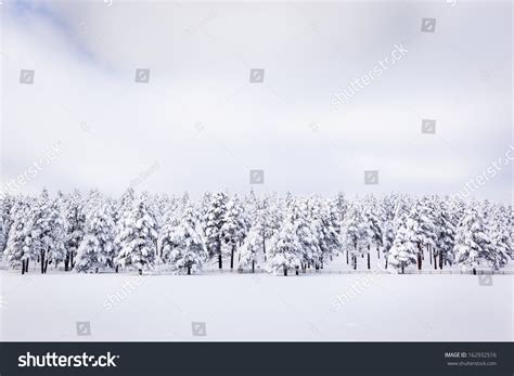 Peaceful Winter Landscape Stock Photo Edit Now 162932516 Shutterstock