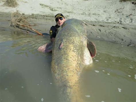 These Two Brothers Caught A Giant Fish That Can Swallow A Whole Man