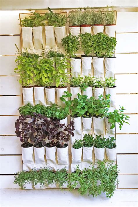 Indoor Herb Garden Ideas That Will Inspire You To Start Planting