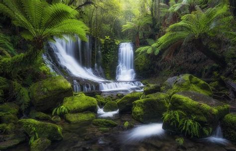 Tropical Forest Waterfall