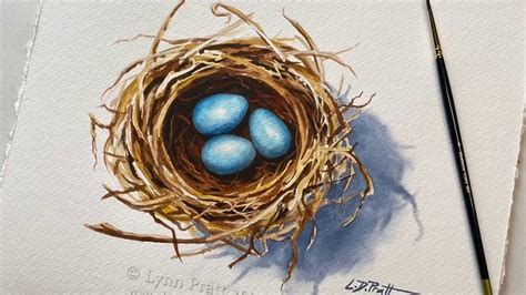 Painting A Birds Nest And Eggs With Watercolor Youtube Bird Nest