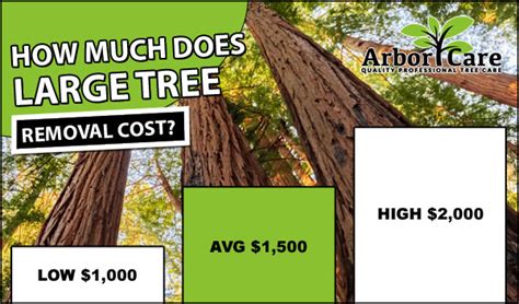 Tree Removal Cost 2020 Average Prices Near Me