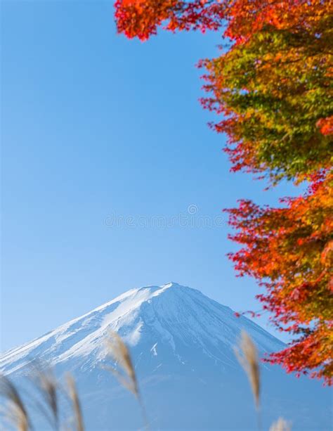 Red Maple Leaves Mount Fuji Stock Image Image Of Lake Natural 86198819