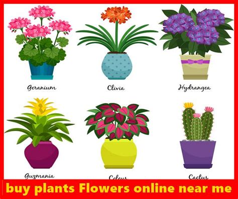 Nearly natural was founded in 2002 with over 75 years of botanical experience, we are pioneers in the artificial floral industry, providing customers with the most realistic versions of artificial flowers, fake plants, and fake trees. Buy plants Flowers online near me 2021 shop now 2020 ...