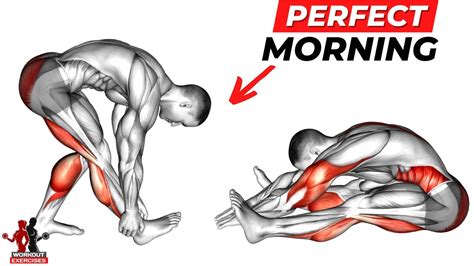 10 Perfect Exercises Morning Stretches Youtube