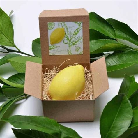 Lemon Shape French Soap Customer Favorite• La Lavande Wholesale Website