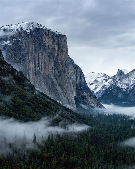 El Capitan Yosemite National Park Photograph By Mo Etemad Fine Art