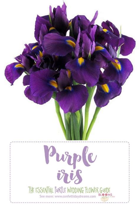 The Complete Guide To Purple Wedding Flowers Purple Flower Names