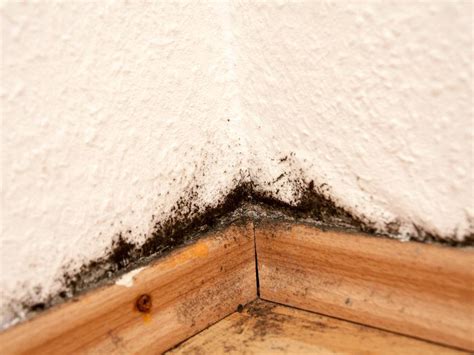 Ob wäschewaschen, duschen oder kochen, es entsteht schnell feuchtigkeit in ihren vier wänden. Schimmel im Haus: 10 typische Fehler | Haustec