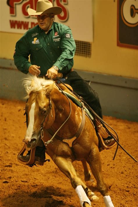 Pin On Horse Training 8 Advanced Training