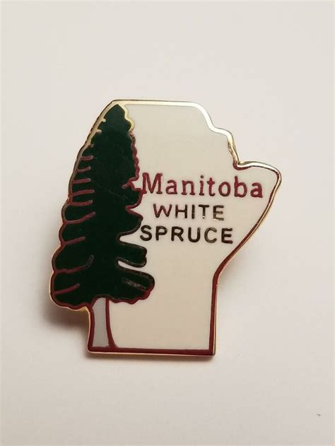 Manitoba White Spruce Lapel Pin 1367 Ebay Lapel Pins Pin Manitoba