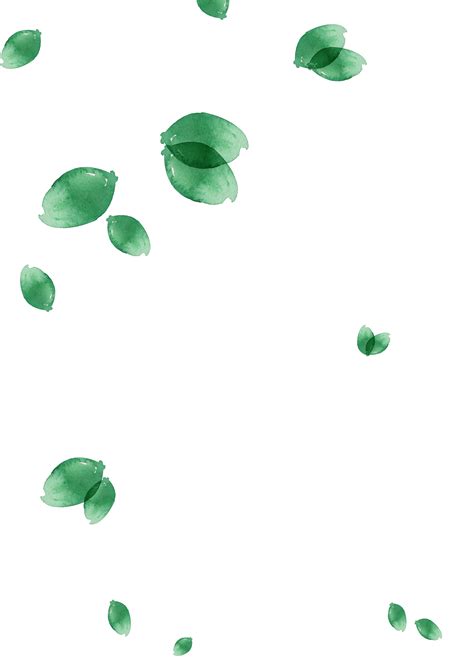 Aesthetic Transparent Background Green Leaves Png Wallpaper New Update