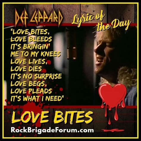Memorable quotes and exchanges from movies just click the edit page button at the bottom of the page or learn more in the quotes. Pin by Sophie Veljanovska on Def Leppard Song Lyrics :) in 2020 | Def leppard songs, Love life ...