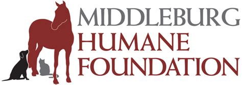 Middleburg Humane Foundation National Kitten Coalition Workshop 2020