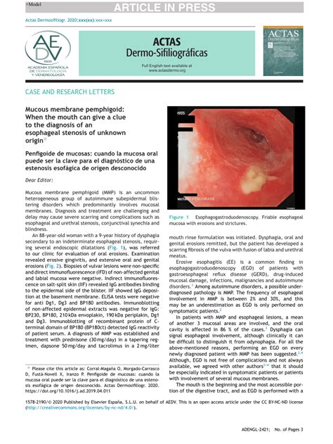 Pdf Mucous Membrane Pemphigoid When The Mouth Can Give A Clue To The