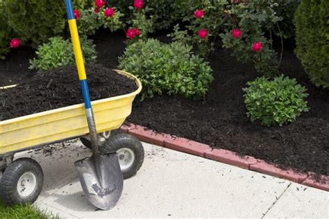 Services Blue Valley Lawn Maintenance