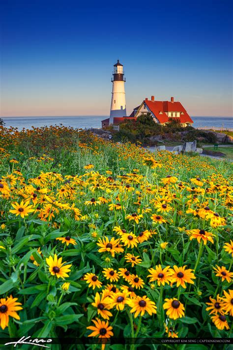 Stone patio, large garden pot ornament, evergreens, buxus boxwood, veronica or salvia, thymus thyme herbs in bloom, focal point. Portland Maine Lighthouse with Flower - HDR Photography by ...