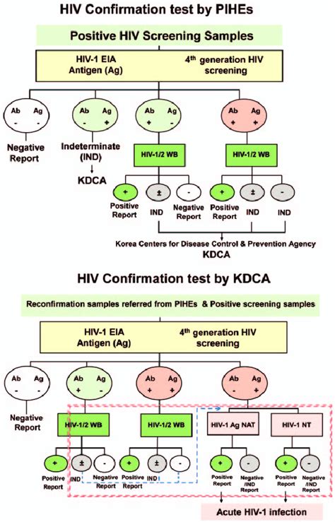 Hiv Confirmation Test Algorithm By The Pihes And Kdca Kdca Korea