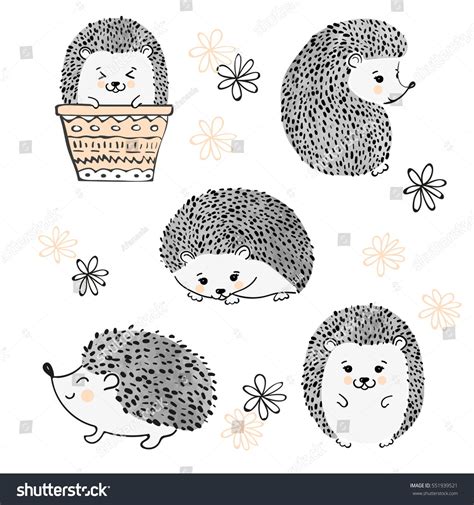 Ilustrações Stock Imagens E Vetores De Set Cute Watercolor Hedgehogs