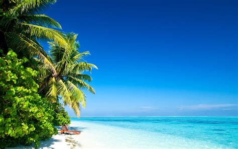 Download Wallpapers Tropical Island Beach Azure Waves Palm Trees