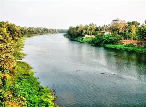10 Beautiful Rivers In Kerala Place Of Origin Length And Many More To