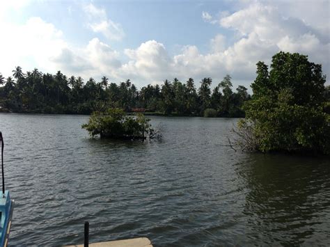 Koggala Lake Lagoon Herbal Garden Sri Lanka Sri Lanka Urlaub