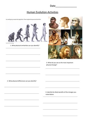 Human Evolution And Out Of Africa Theory Teaching Resources