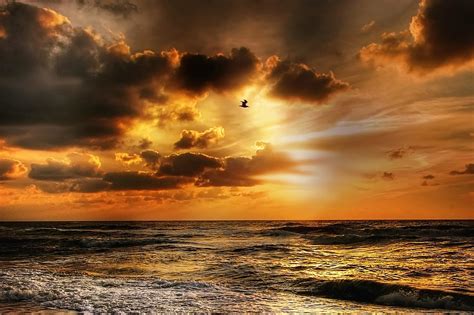 Orange Dusk Skies Over The Ocean In Denmark Image Free Stock Photo