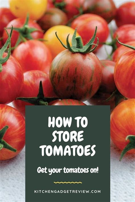 How To Store Tomatoes Should Tomatoes Be Refrigerated How To Store