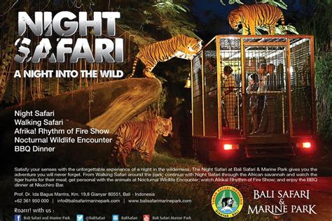 Night Safari At Bali Safari And Marine Park With Private Transfer