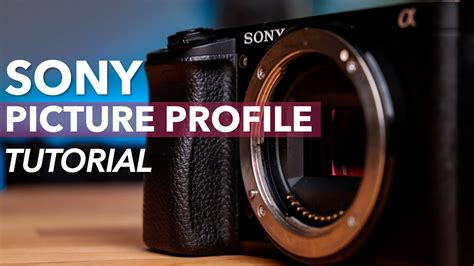 Sony Picture Profile Settings Tutorial Slog Cine Hlg Color Mode