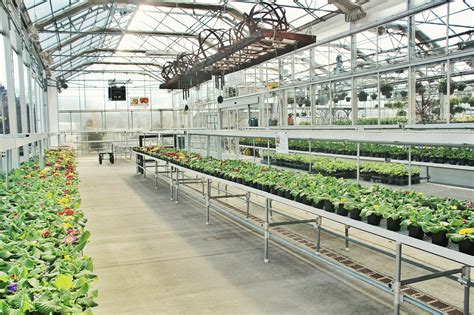 7 Things You Should Know About How Greenhouses Work