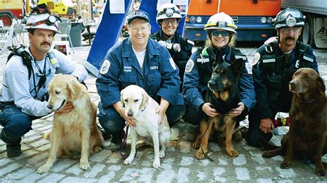 Meet 14 Dog Heroes Who Helped At 911 Anything Pawsable