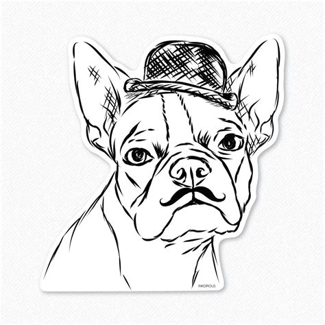 Free Printable Boston Terrier Coloring Pages Printable Templates