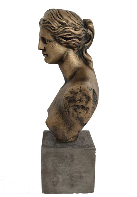 Aphrodite Sculpture Bust Venus Goddess Of Love Statue Artifact Etsy Uk
