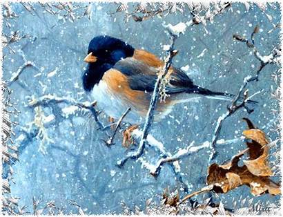 Animated Birds Bird Gifs Winter Snow Animation