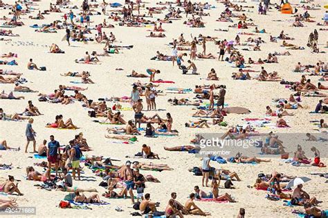 Sunbathing Beach Australia Photos And Premium High Res Pictures Getty