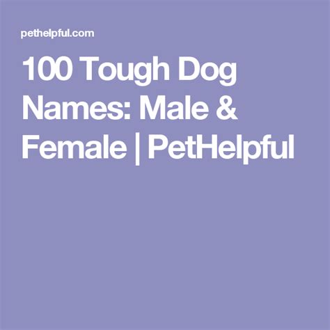 100 Tough Dog Names Male And Female From Arnold To Xena Tough Dog