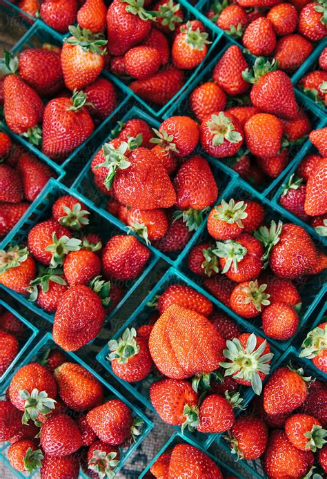 Organic Fresh Strawberries By Stocksy Contributor Carolyn Lagattuta