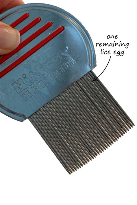 7 Proven Ways To Clean Out And Disinfect Your Lice Comb