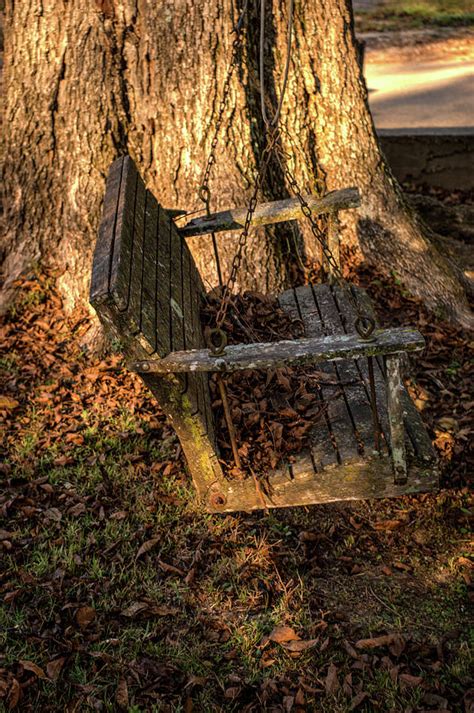 Abandoned Swing 1 Photograph By Douglas Barnett