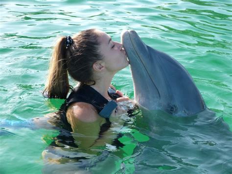 Why The Feds Want To Ban Swimming With Dolphins In Hawaii
