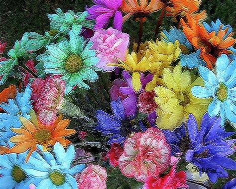 Colorful Flowers 055 Photograph By Barbara Tristan Fine Art America