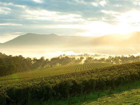 Scenic Attractions In The Yarra Valley Yarra Valley And Dandenong
