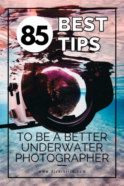 85 Best Tips On Underwater Photography For Beginners
