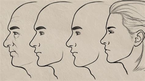 How To Draw Faces From The Side Rapidfireart