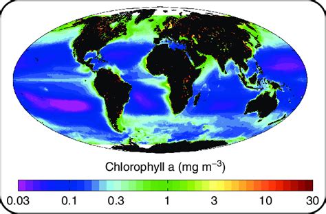 Average Sea Surface Chlorophyll A Concentration From 1998 To 2006