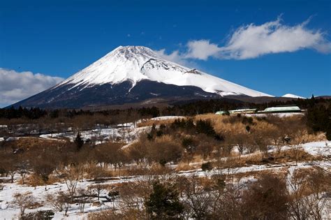 Contact 富士山こどもの国 official on messenger. 富士山こどもの国 | ブログ左富士写真館 - 楽天ブログ